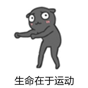 金塘大丰中心小学“梦想足球场”入选浙江美丽城镇建设档案展