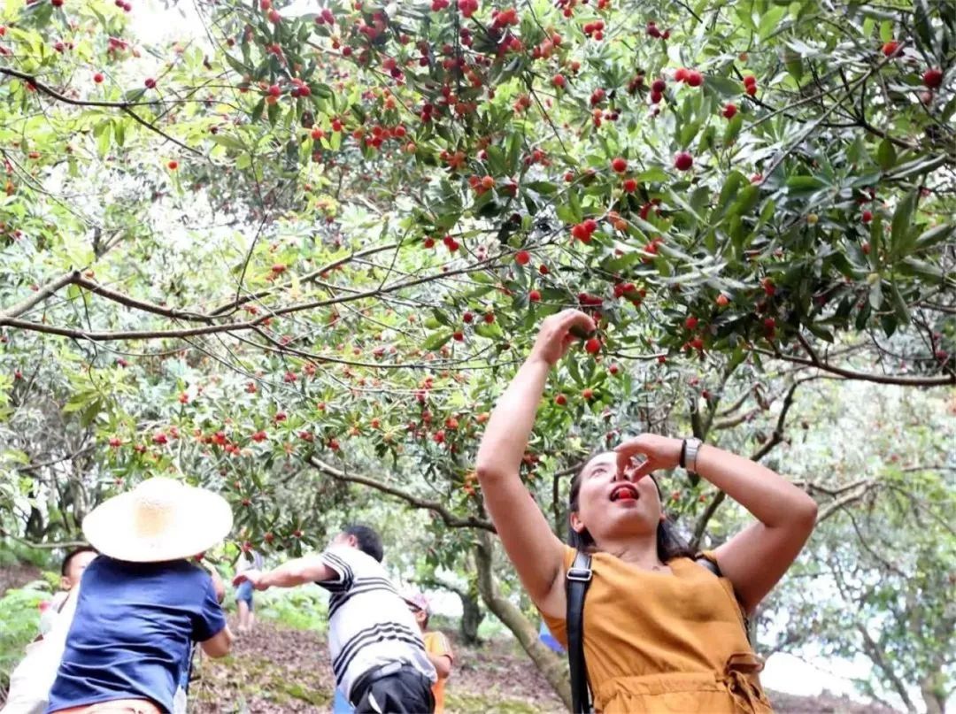 周末去哪儿⑫|王牌推荐，出行不愁！富阳山乡鲜得太“上头”啦！