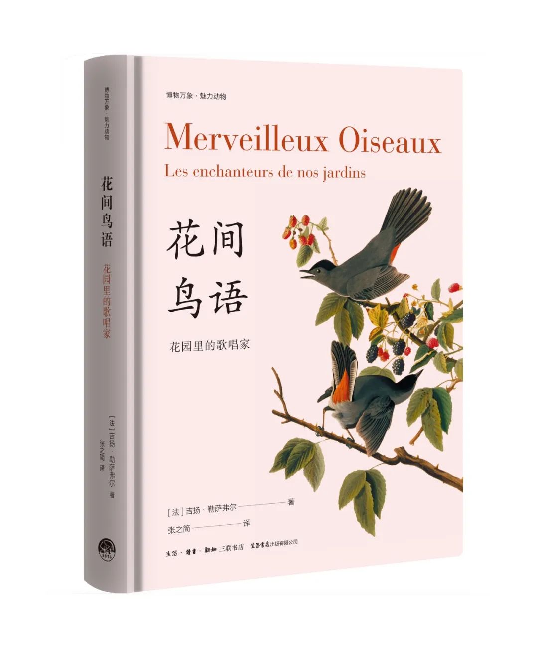 当嘲鸫飞过我的花园——《花间鸟语》的世界