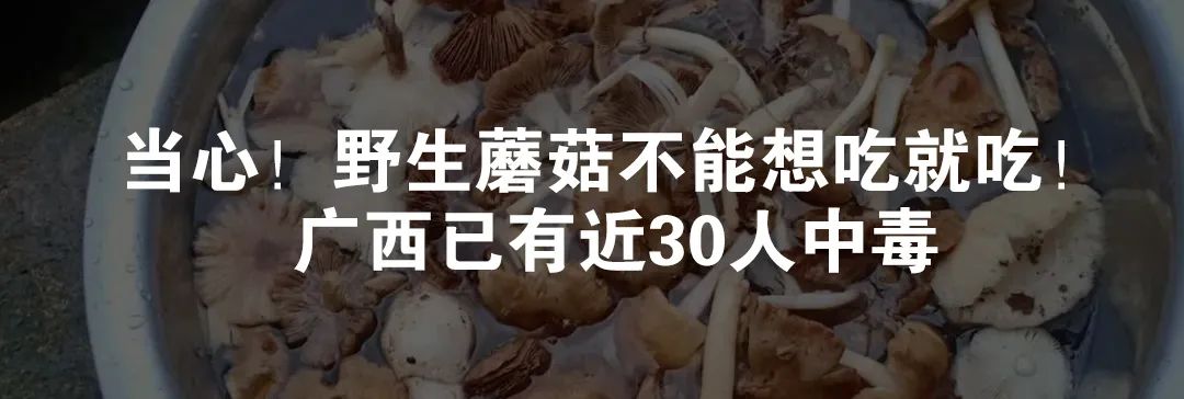 吃了苦西葫芦中毒的表现,发苦的西葫芦能吃吗