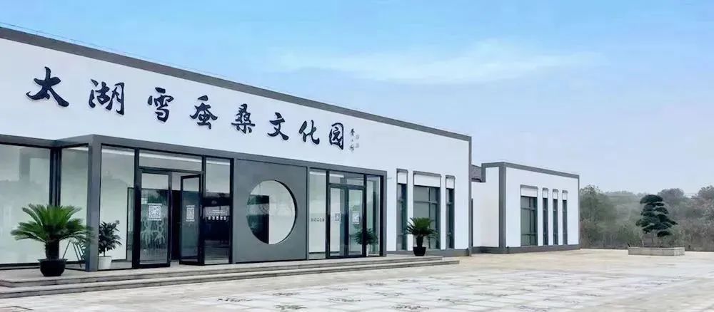 桑蚕丝冬暖夏凉,蚕丝夏日睡衣