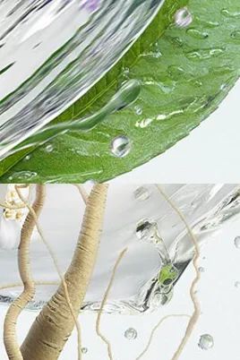 618购物分享夏日限定好物,618购物车好物