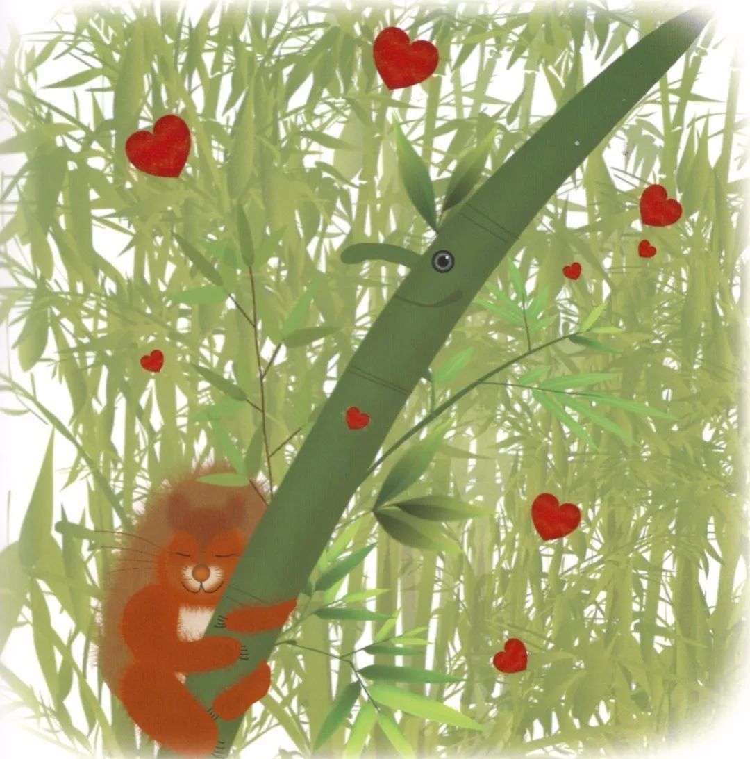 邕小环讲生态故事｜竹子的馈赠：土种树，木养土。竹子的功劳，你知不知道？