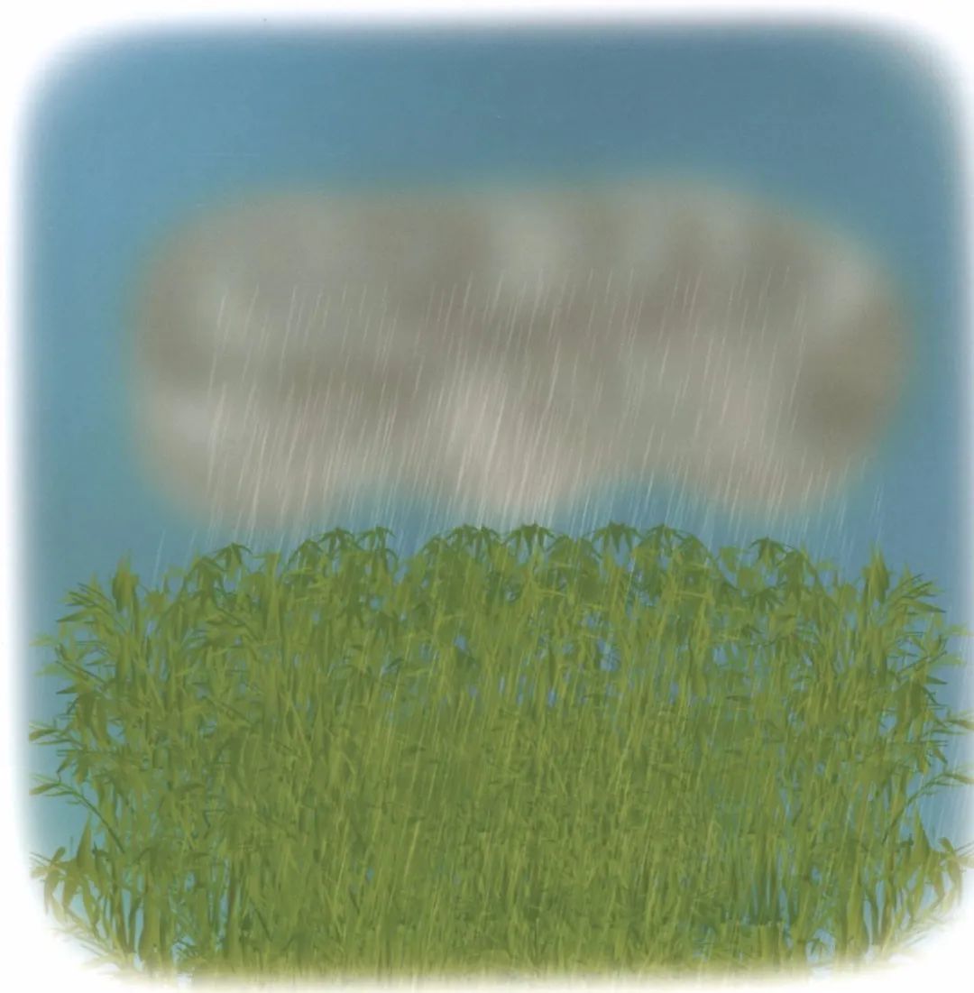 邕小环讲生态故事｜竹子的馈赠：土种树，木养土。竹子的功劳，你知不知道？