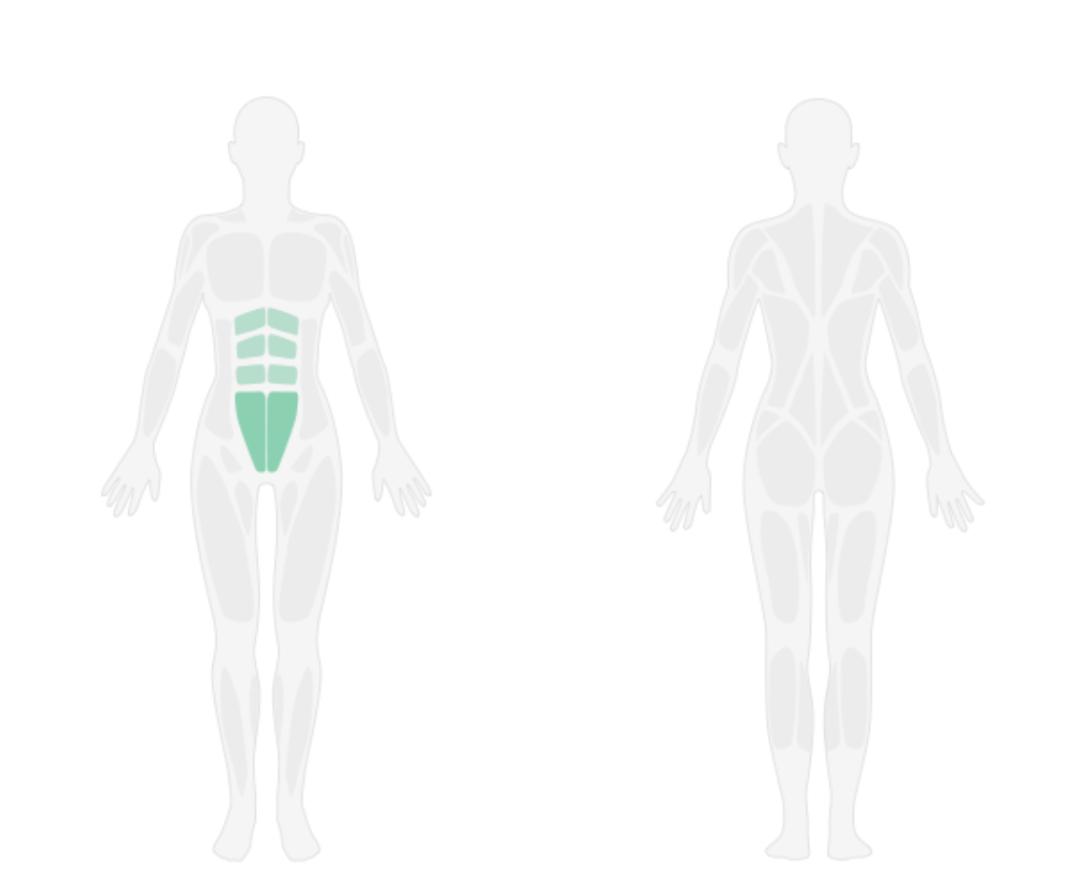 马甲线动作要领,4分钟tabata腰腹核心马甲线必练