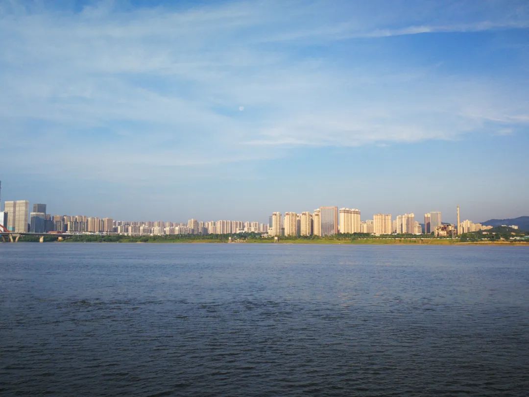 刷屏了！这样的开福蓝，请给我来一打