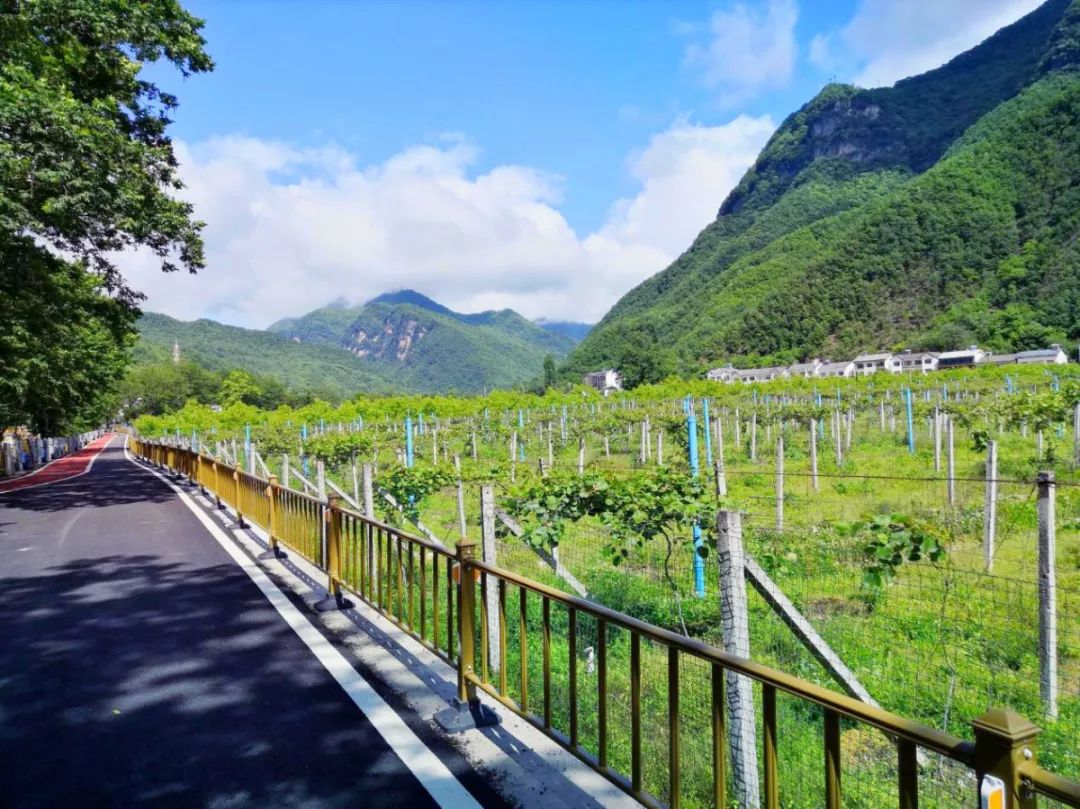 湖北最美环湖绿道徒步,十大最美绿道骑行