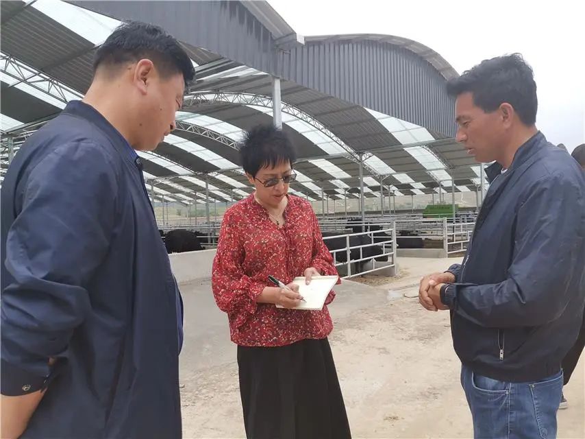 宁夏做大做强优势产业,隆德县杨河乡串河村