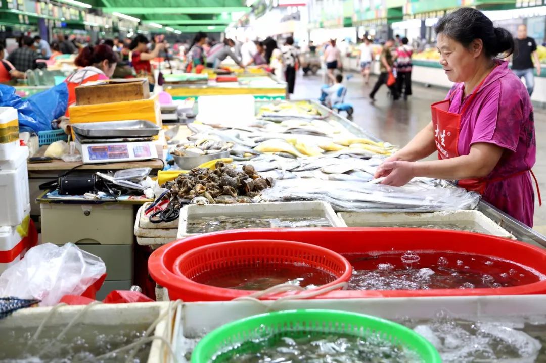 防城港哪里的海鲜便宜旅游攻略,沿海岸线走哪条旅游线最好