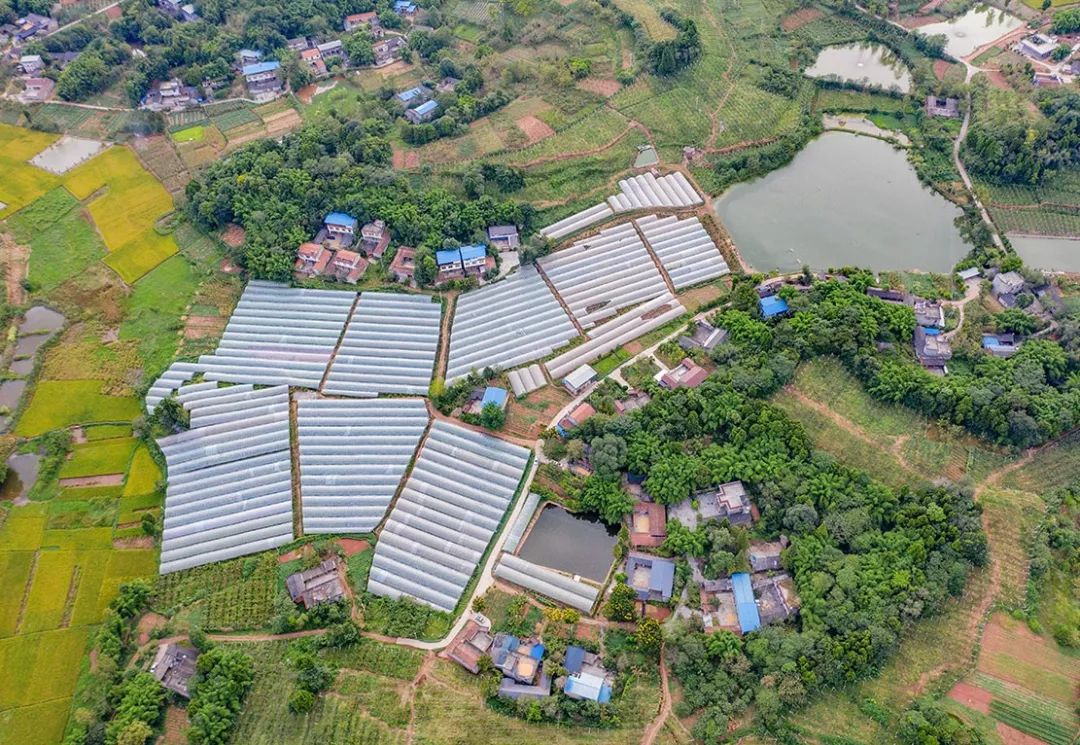 多彩新区|贵平，在那桃花盛开的地方！