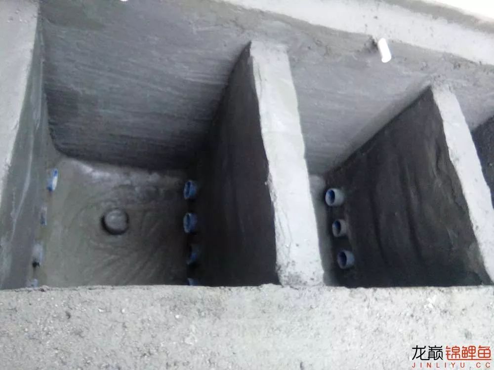 锦鲤池建造施工过程,楼顶怎么施工建锦鲤池