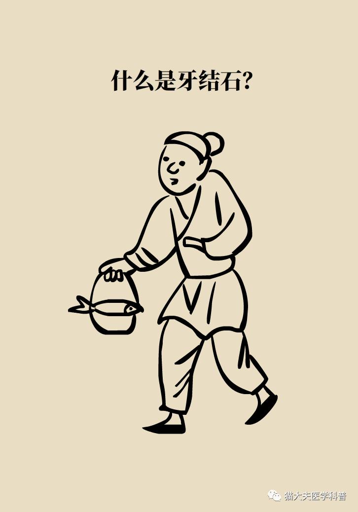 胆结石肝上也有结石怎么办,胆结石胆管里面有结石怎么办