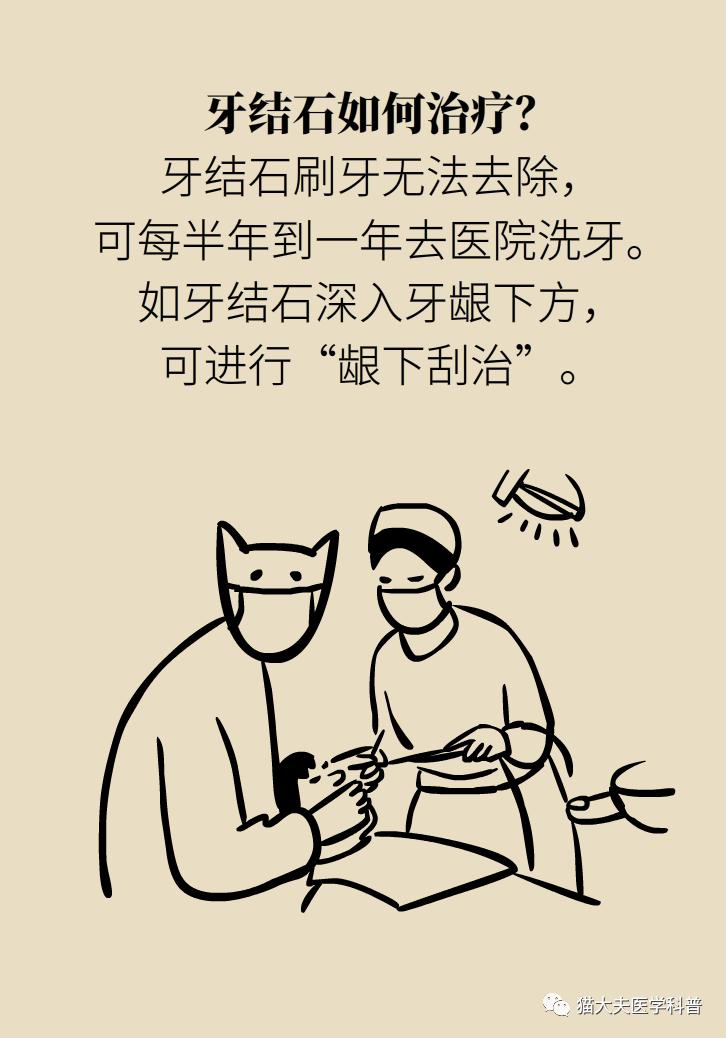 胆结石肝上也有结石怎么办,胆结石胆管里面有结石怎么办