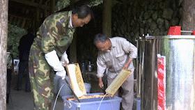 蜂农找蜂蜜销路,养蜂人蜂蜜滞销怎么办