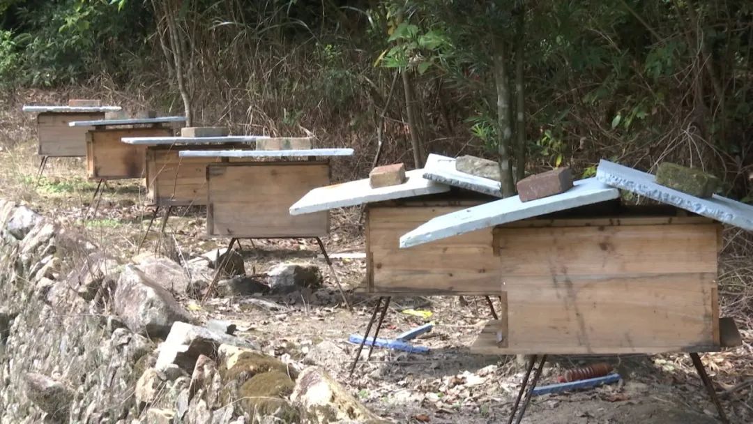 蜂农找蜂蜜销路,养蜂人蜂蜜滞销怎么办