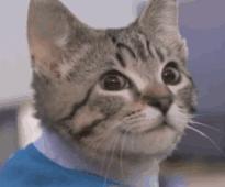 微波炉爆炸后遗症,微波炉爆炸后果