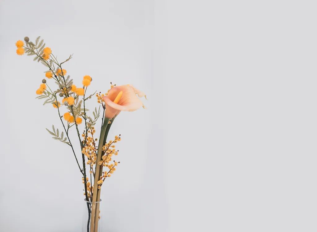 浮生六记双语书籍,浮生六记林语堂