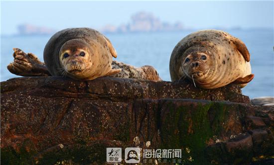 山东三生三美,三生三美看山东