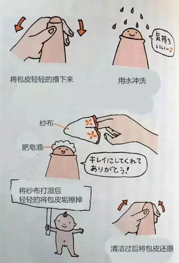 女生胸部发育怎么教育,胸部发育该怎么教育