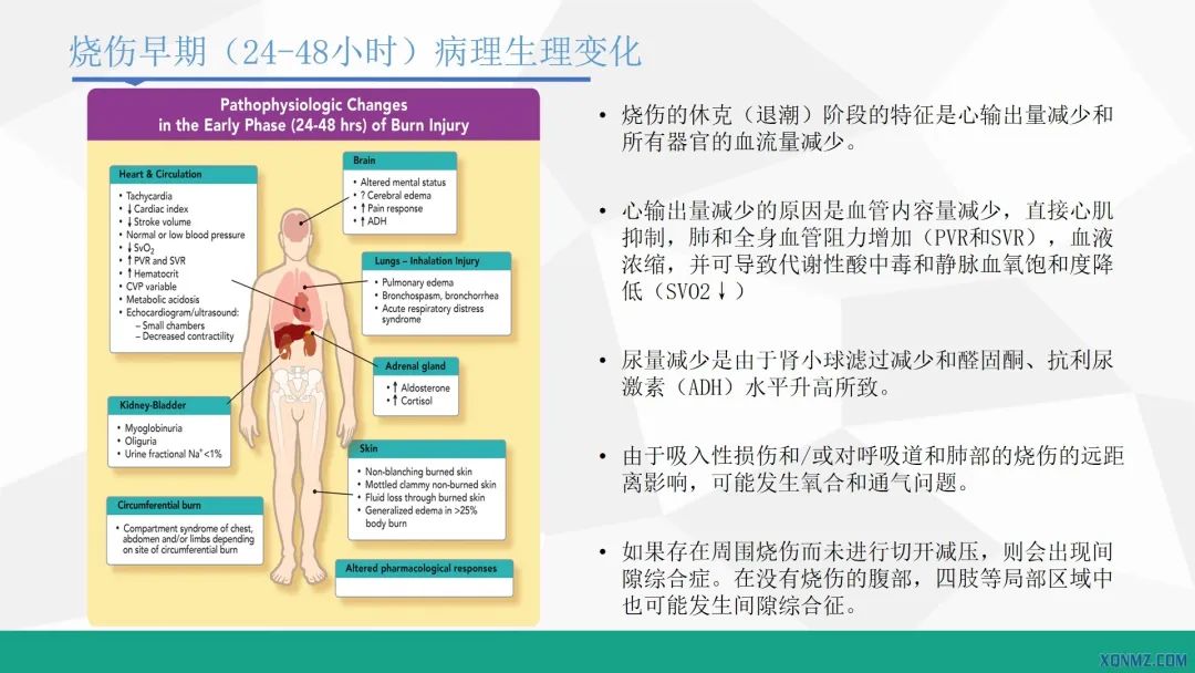 外科烧伤病人的护理教学视频,烧伤患者护理教学查房讲解视频