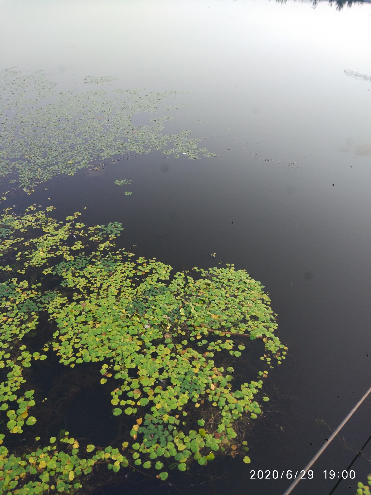 春季雨后初晴钓鱼钓深还是钓浅,雨后钓鱼情况