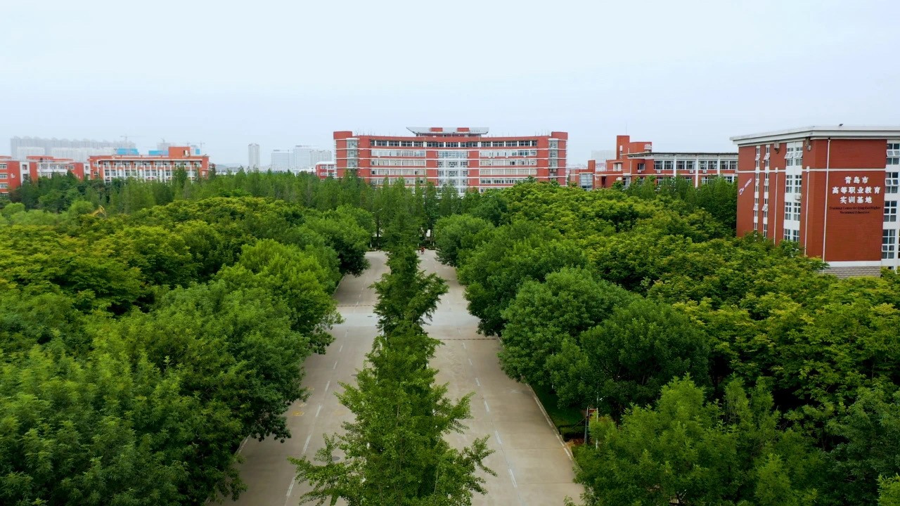 青岛职业技术学院王金生个人简历,青岛职业技术学院书记王金生