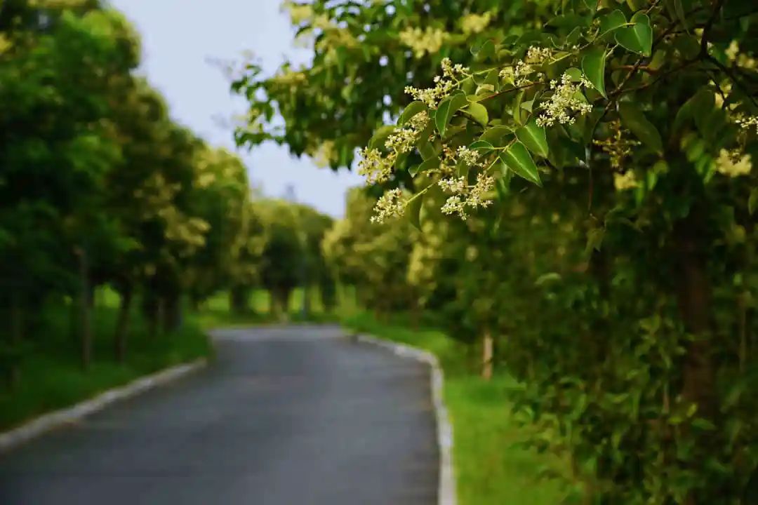 石川河最美风景,石川十美美景图片