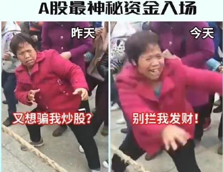 这届股民太难了视频,股民真的有才