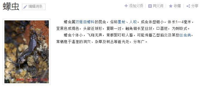 海南特别小的虫子跟小黑点一样大,海南好多黑色小虫子