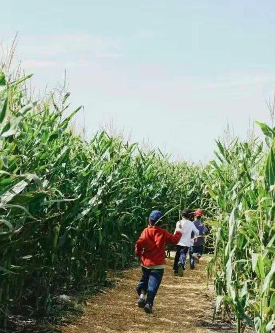 周末亲子好去处无动力乐园,亲子农场适合带孩子去玩的地方