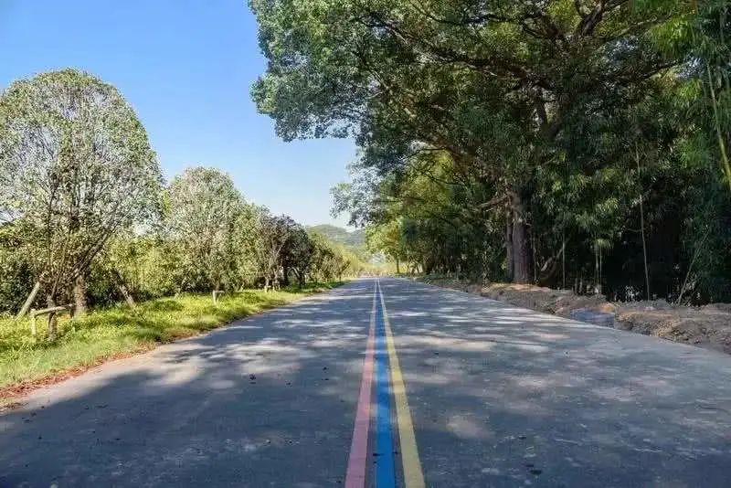 丽水“大花园”，体育是最艳丽的花朵｜“浙”里的小康体育生活