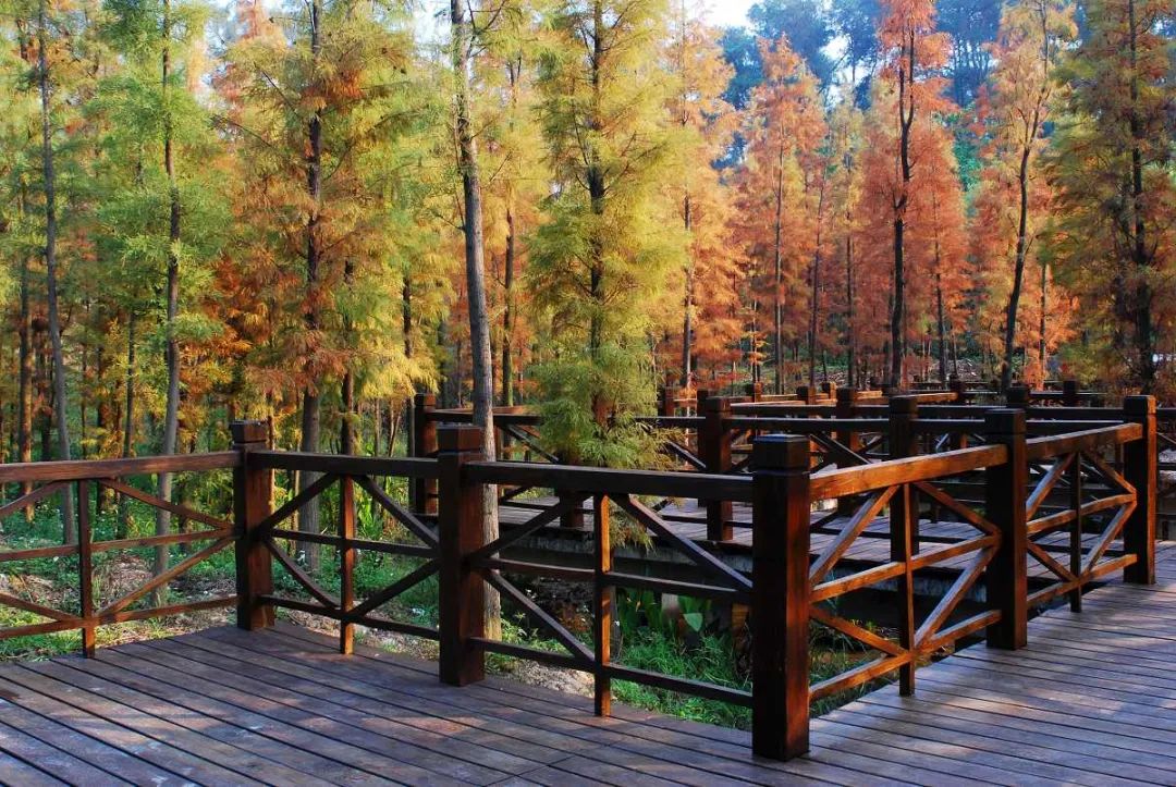 南宁市旅游产业规划,南宁市兴宁区全域开发