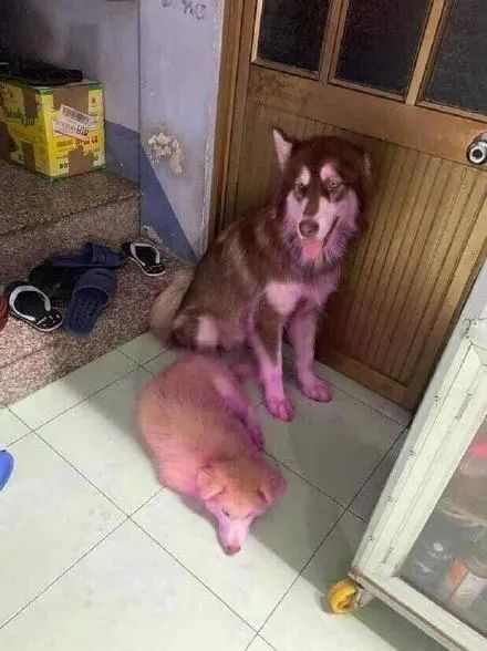 人喝醉之后到底有多搞笑,盘点喝醉的人有多搞笑