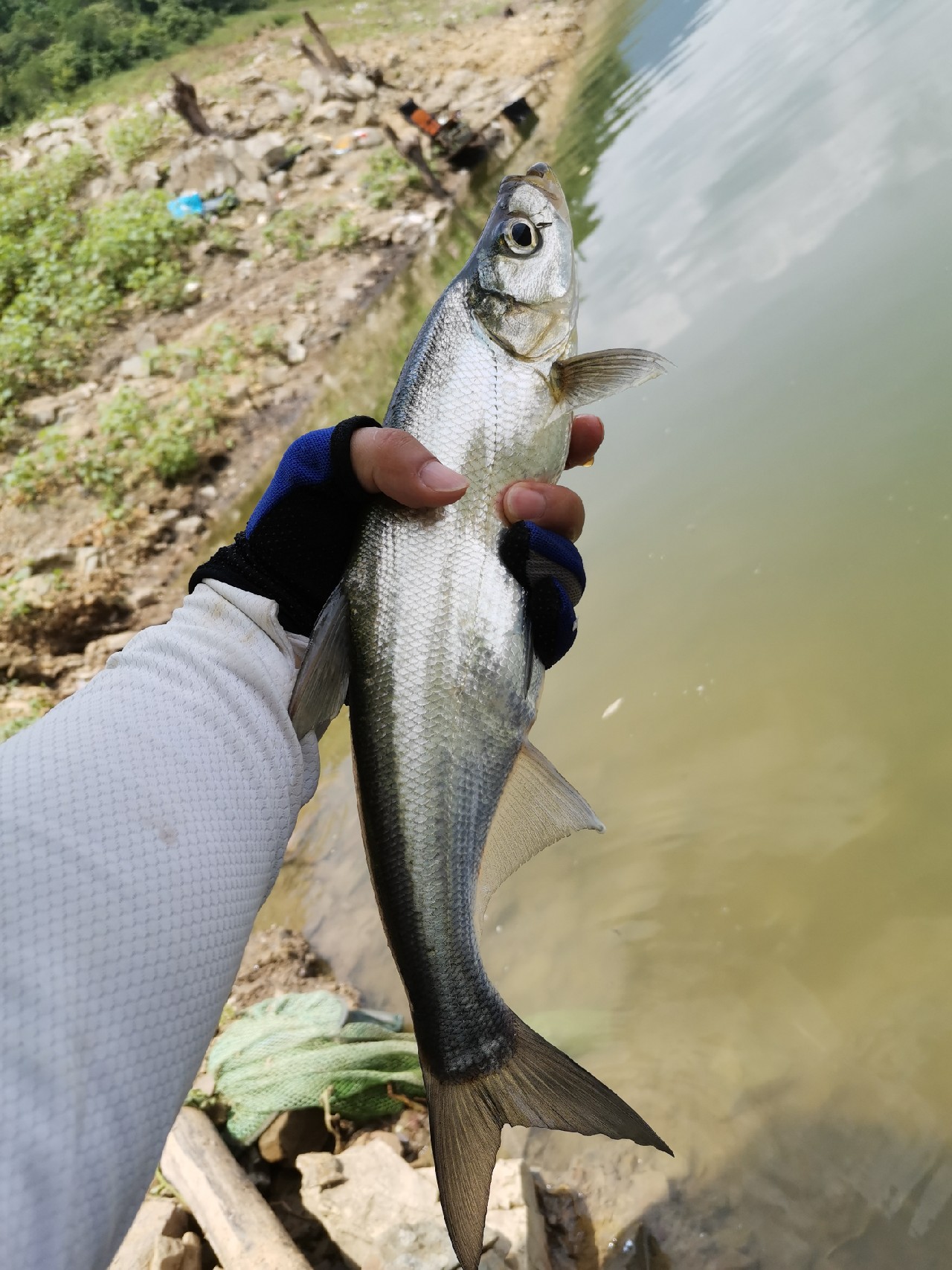 灏忓悍鍝ヤ竾宄版箹閽撻奔 (灏忓悍鍝ユ帰閽撲竾宄版箹)