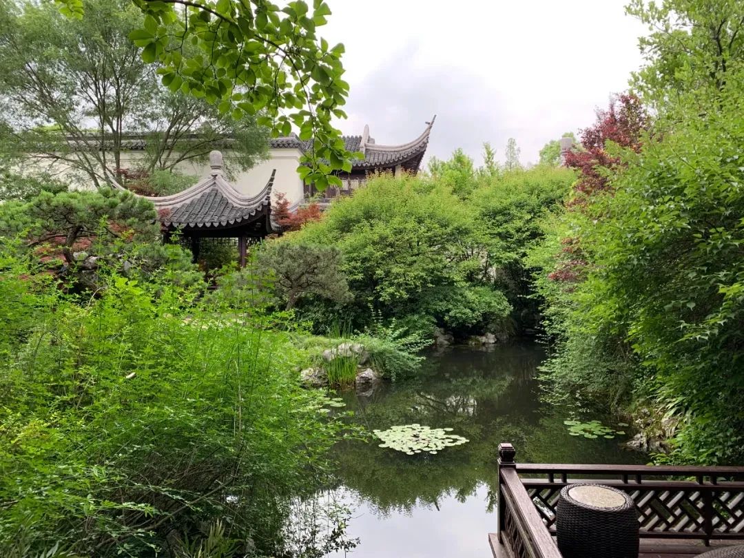 上半年经历了太多不尽人意的事,上半年过得很糟糕