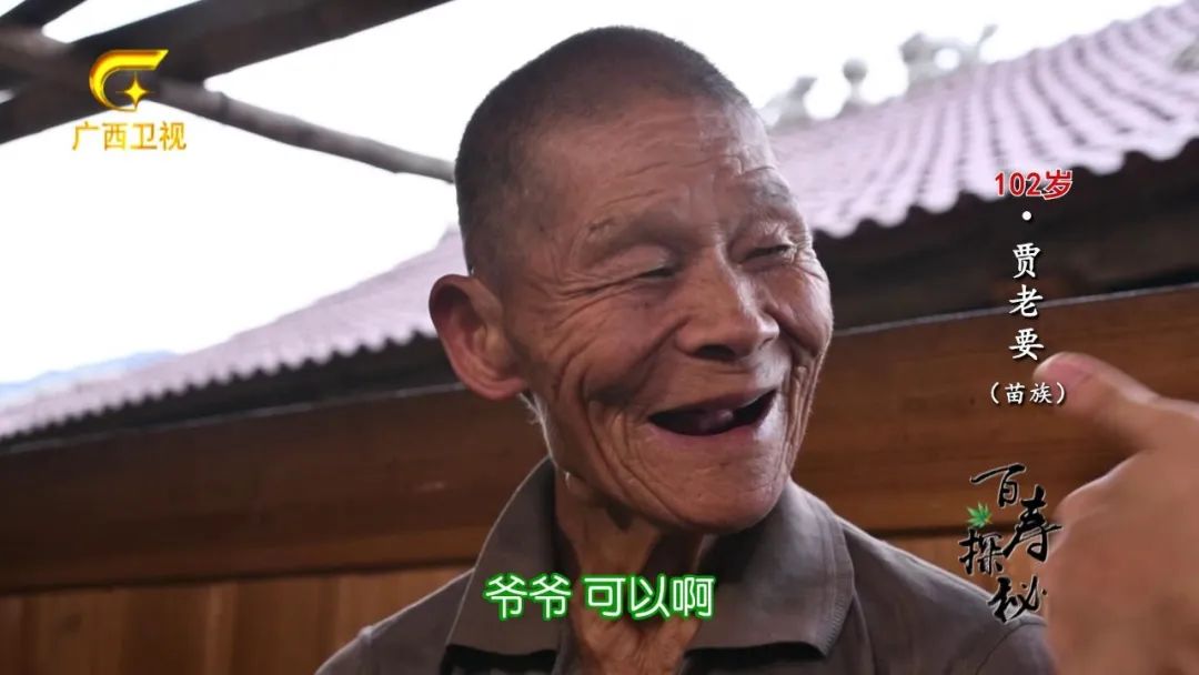 牛胃里的草叫什么,牛胃里的牛草黄