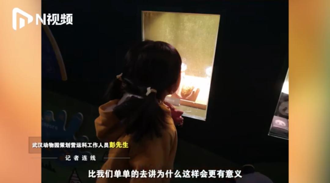 去动物园里散步才是正经事,逛动物园是件正经事表达什么