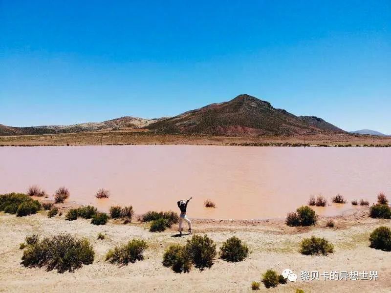 贝壳夏天鞋,贝壳穿搭分享