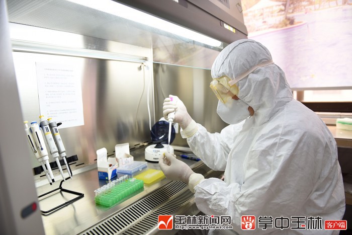 彭炎森：走出国门授艺的王牌兽医