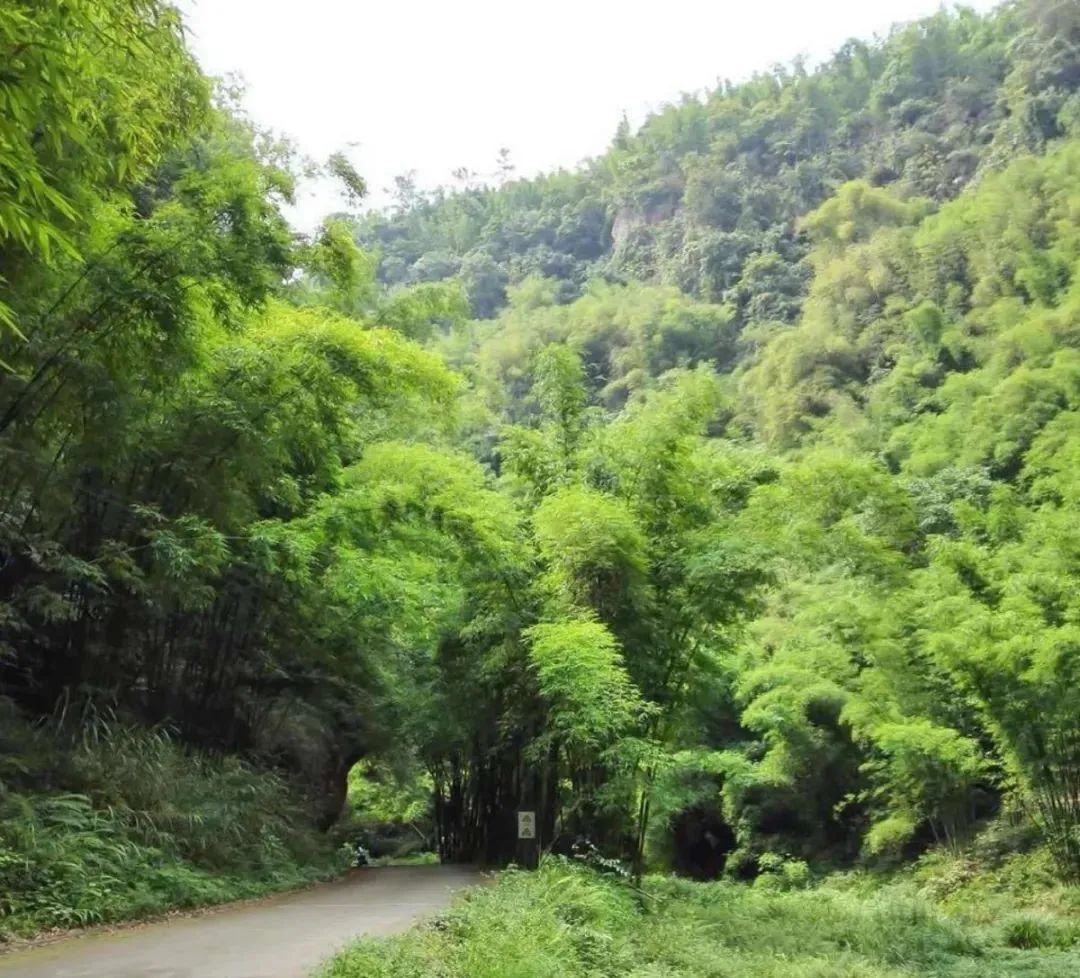 竹山旅游线路大全,竹山周边一日游旅游景点推荐