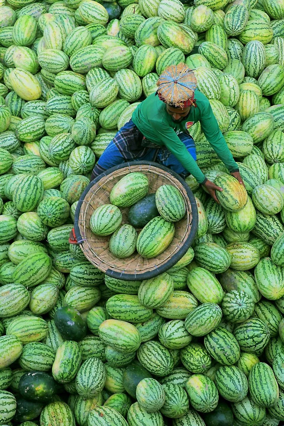 全世界最绿的50张照片