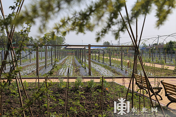 妤煎北鏉戦┗鏉戝伐浣滈槦,妗﹀崡鍘挎ゼ灞辨潙