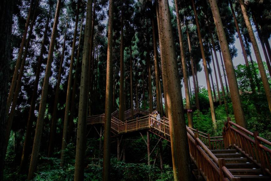 小众城市夏天避暑最佳旅游地,避暑小众城市