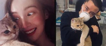 她才是内地版恋爱天后吧？为什么这些小鲜肉都这么喜欢她？