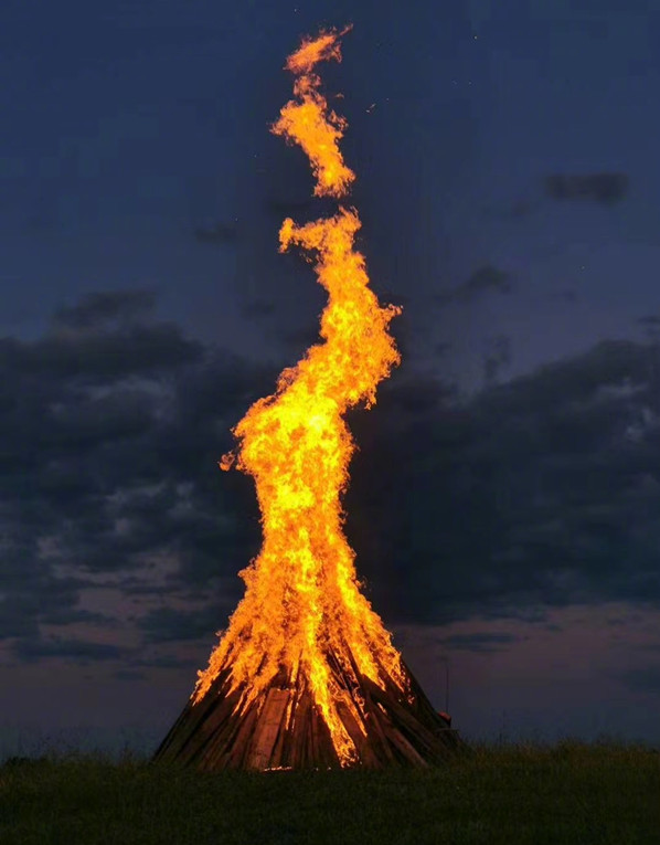 黄桷兰成都,成都黄桷兰多少钱