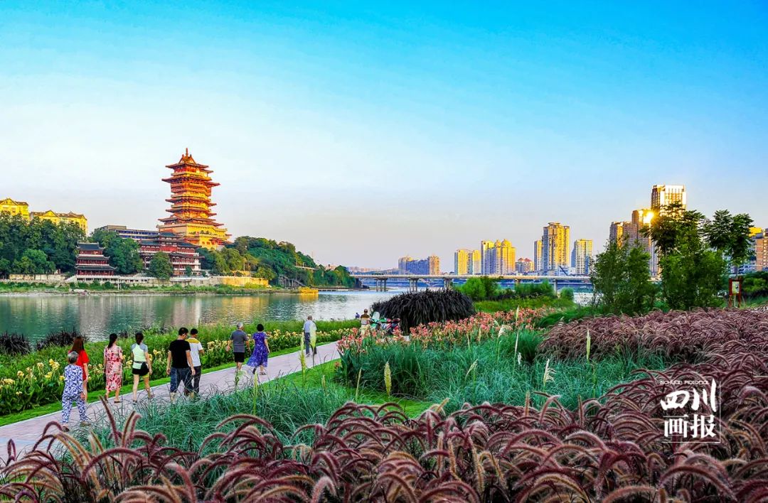 四川成都绿道视频,四川有哪几个绿道