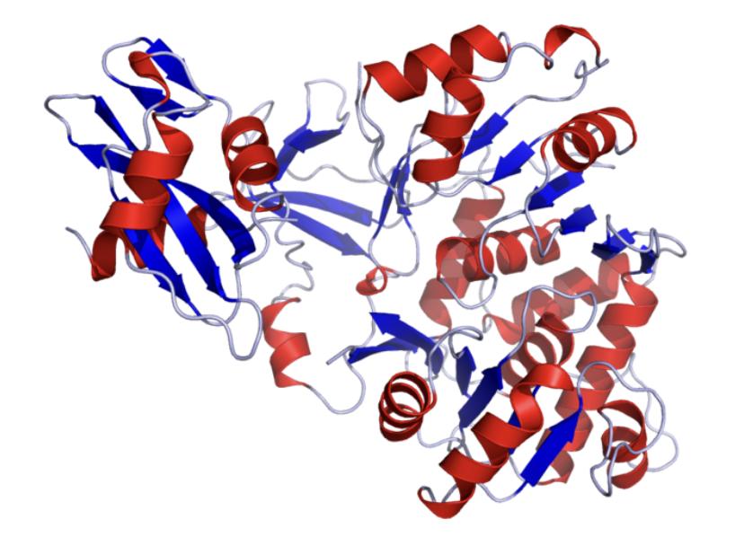 夏日萤火虫的夜晚,夏天萤火虫的夜景