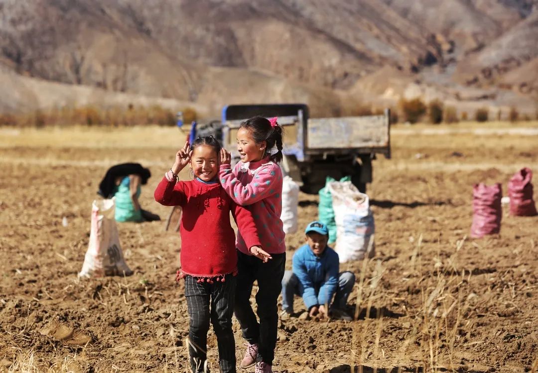 种草自然堂喜马拉雅,以自然之名