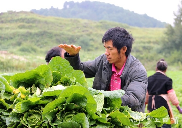 椹捐溅涔″ぇ姘存潙瑙嗛,澶ф按鏉戝▋濞冭彍