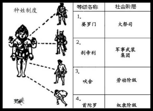 印度代孕属于违法行为吗,代孕在印度犯法吗